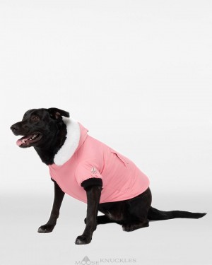 Pet Moose Knuckles Pooch Parka Femme Blanche | UGRFB-3468