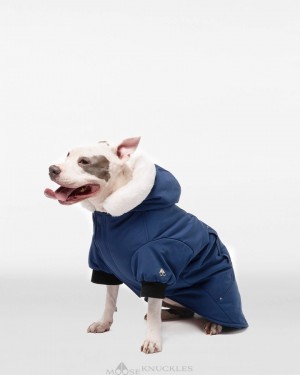 Pet Moose Knuckles Pooch Parka Femme Bleu Blanche | LRDJG-7526