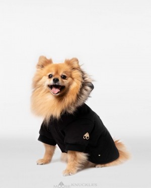 Pet Moose Knuckles Pooch Parka Homme Noir Doré | KVWSY-5179