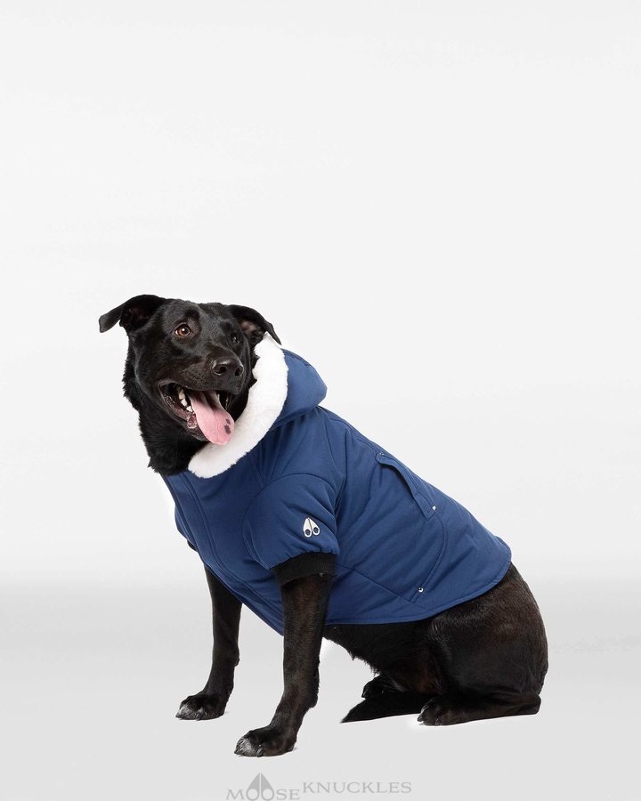 Pet Moose Knuckles Pooch Parka Femme Bleu Blanche | LRDJG-7526