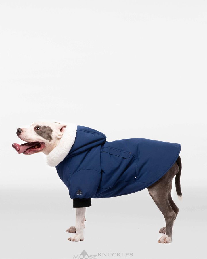 Pet Moose Knuckles Pooch Parka Femme Bleu Blanche | LRDJG-7526