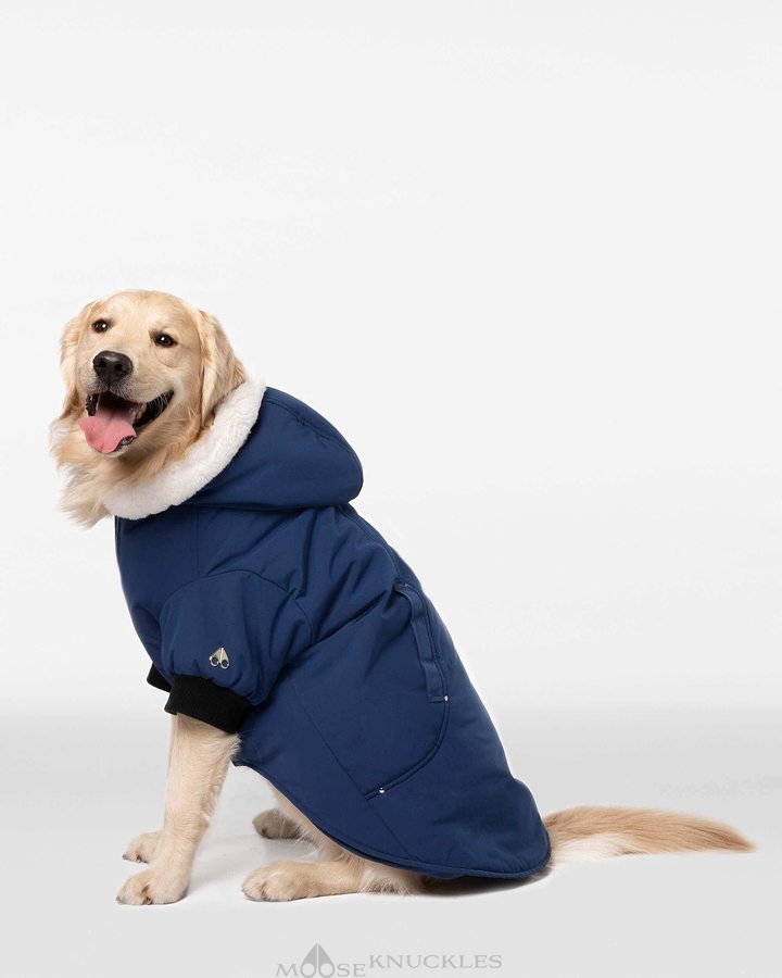 Pet Moose Knuckles Pooch Parka Femme Bleu Blanche | LRDJG-7526