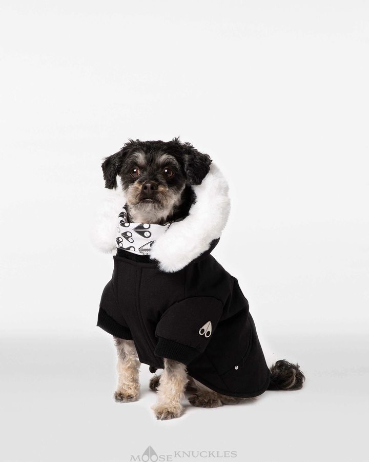 Pet Moose Knuckles Pooch Parka Femme Noir Blanche | ASNZX-0687