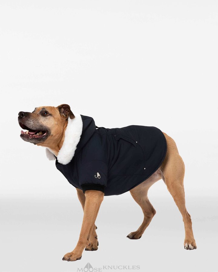 Pet Moose Knuckles Pooch Parka Femme Noir Blanche | ASNZX-0687