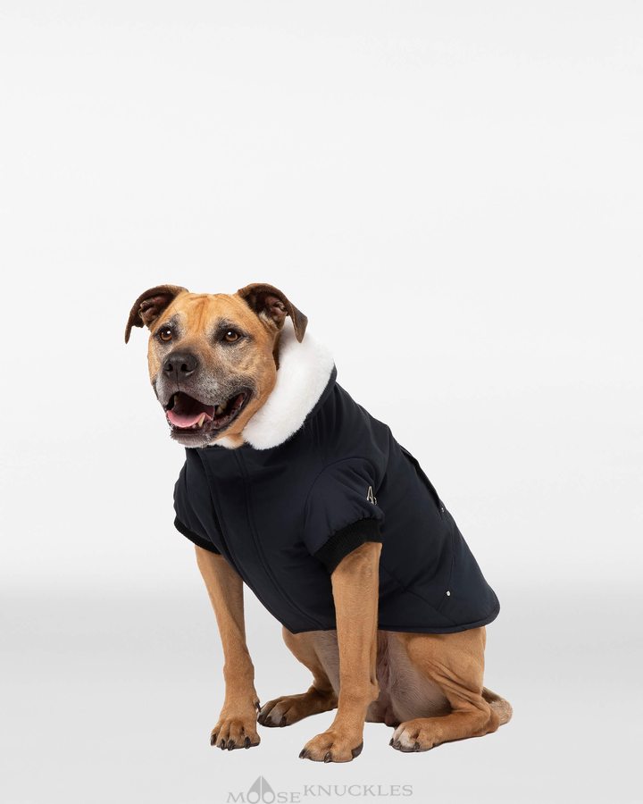 Pet Moose Knuckles Pooch Parka Femme Noir Blanche | ASNZX-0687