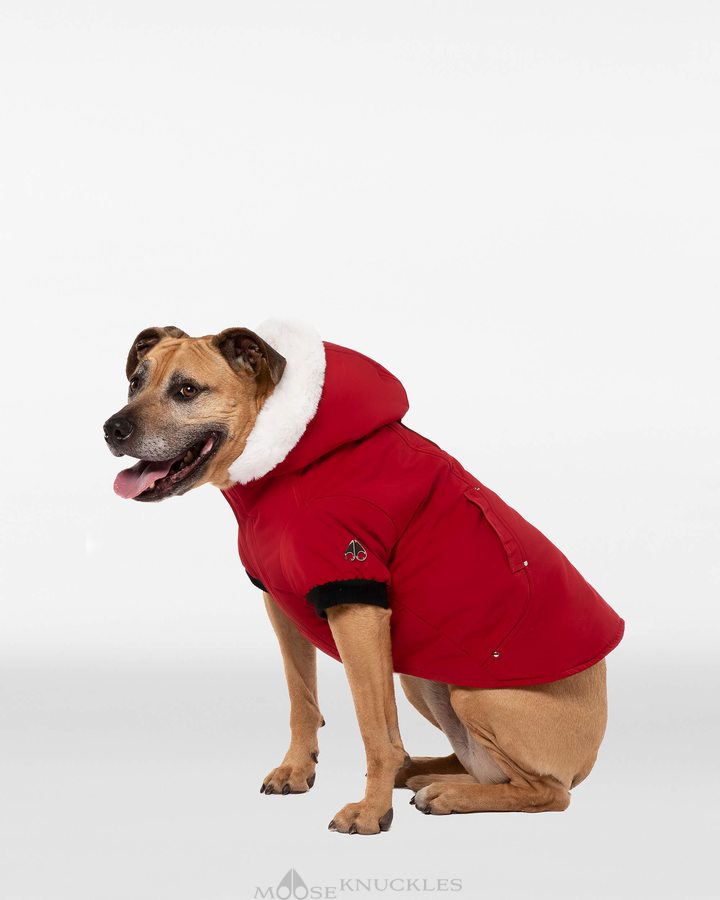 Pet Moose Knuckles Pooch Parka Femme Rouge Foncé Blanche | OHNEU-5617