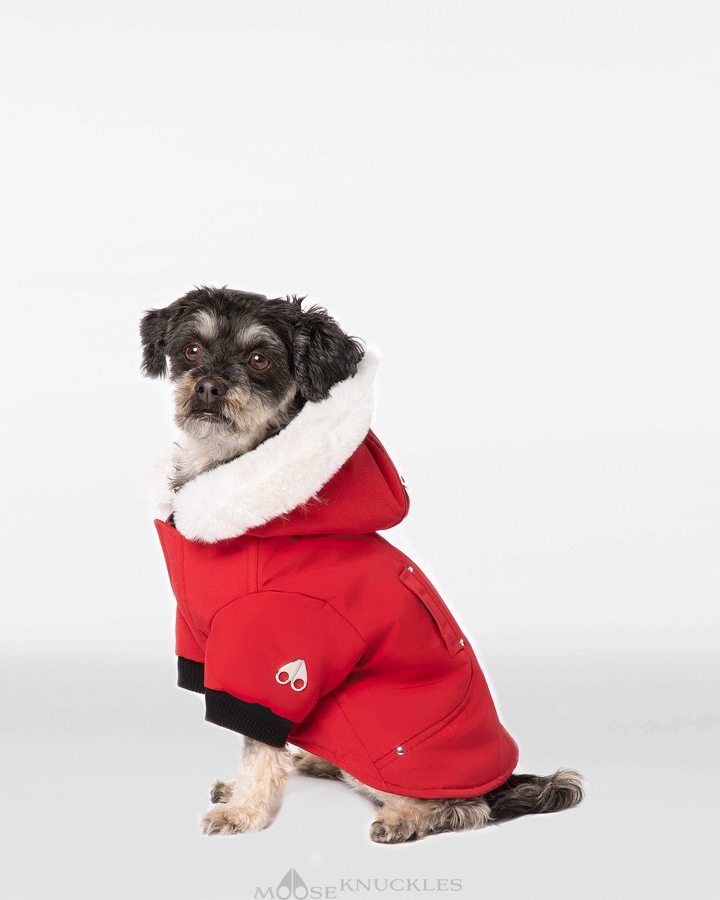 Pet Moose Knuckles Pooch Parka Homme Rouge Foncé Blanche | XMOFC-9172